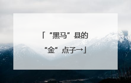 “黑马”县的“金”点子→