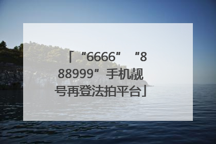 “6666”“888999”手机靓号再登法拍平台
