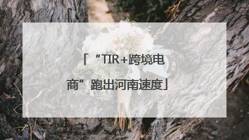 “TIR+跨境电商”跑出河南速度