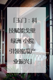 玉门：科技赋能戈壁绿洲 小院引领蜜瓜产业振兴