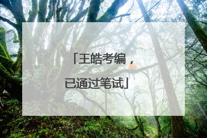 王皓考编，已通过笔试