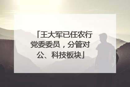 王大军已任农行党委委员，分管对公、科技板块
