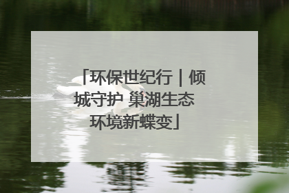 环保世纪行｜倾城守护 巢湖生态环境新蝶变