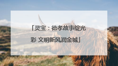 灵宝：德孝故事绽光彩 文明新风润金城