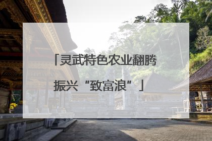 灵武特色农业翻腾振兴“致富浪”
