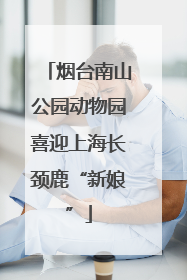 烟台南山公园动物园喜迎上海长颈鹿“新娘”