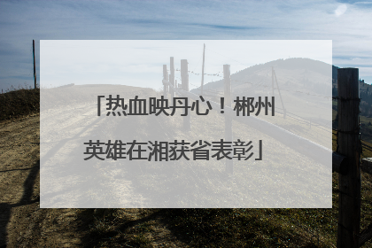热血映丹心！郴州英雄在湘获省表彰