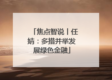 焦点智说丨任婧：多措并举发展绿色金融