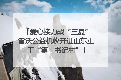 爱心接力战“三夏” 雷沃公益机收开进山东重工“第一书记村”