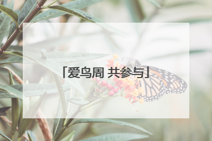爱鸟周 共参与