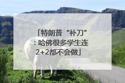 特朗普“补刀”：哈佛很多学生连2+2都不会做
