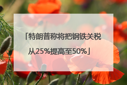 特朗普称将把钢铁关税从25%提高至50%