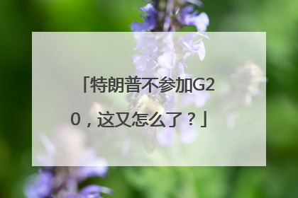 特朗普不参加G20，这又怎么了？