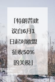 特朗普建议自6月1日起对欧盟征收50%的关税