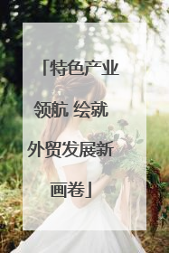 特色产业领航 绘就外贸发展新画卷