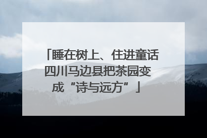 睡在树上、住进童话 四川马边县把茶园变成“诗与远方”