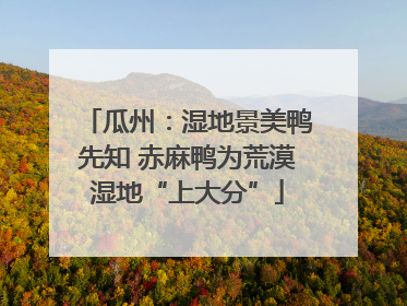 瓜州：湿地景美鸭先知 赤麻鸭为荒漠湿地“上大分”