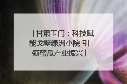 甘肃玉门：科技赋能戈壁绿洲小院 引领蜜瓜产业振兴