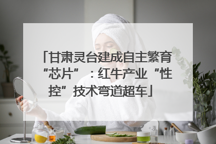 甘肃灵台建成自主繁育“芯片”：红牛产业“性控”技术弯道超车
