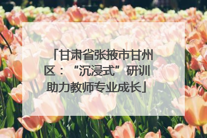 甘肃省张掖市甘州区：“沉浸式”研训助力教师专业成长