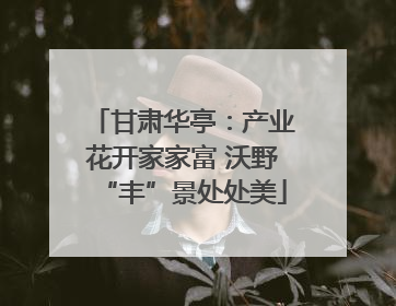 甘肃华亭：产业花开家家富 沃野“丰”景处处美
