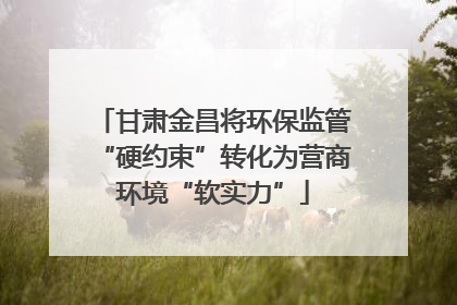 甘肃金昌将环保监管“硬约束”转化为营商环境“软实力”