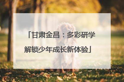 甘肃金昌：多彩研学解锁少年成长新体验