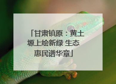 甘肃镇原：黄土塬上绘新绿 生态惠民谱华章