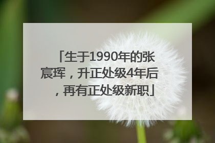 生于1990年的张宸珲，升正处级4年后，再有正处级新职
