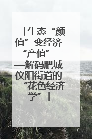生态“颜值”变经济“产值”——解码肥城仪阳街道的“花色经济学”