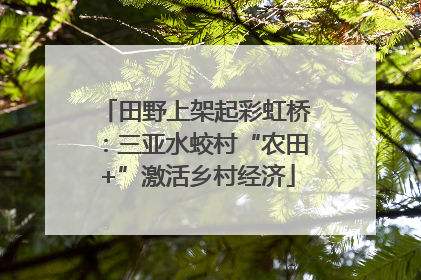 田野上架起彩虹桥：三亚水蛟村“农田+”激活乡村经济