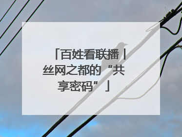 百姓看联播丨丝网之都的“共享密码”