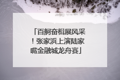 百舸奋楫展风采！张家浜上演陆家嘴金融城龙舟赛