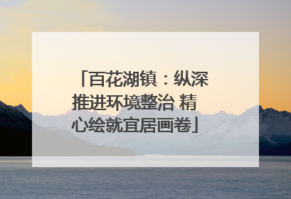 百花湖镇：纵深推进环境整治 精心绘就宜居画卷
