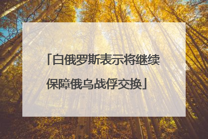 白俄罗斯表示将继续保障俄乌战俘交换