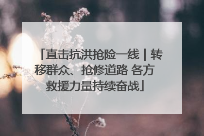 直击抗洪抢险一线｜转移群众、抢修道路 各方救援力量持续奋战