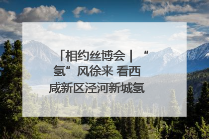 相约丝博会｜“氢”风徐来 看西咸新区泾河新城氢能产业聚链成势