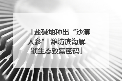 盐碱地种出“沙漠人参” 潍坊滨海解锁生态致富密码