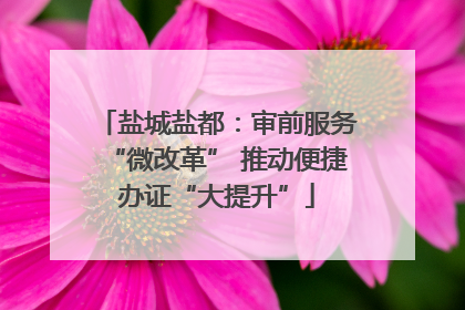 盐城盐都：审前服务“微改革” 推动便捷办证“大提升”