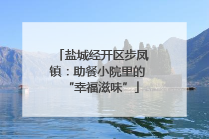 盐城经开区步凤镇：助餐小院里的“幸福滋味”
