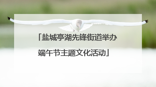 盐城亭湖先锋街道举办端午节主题文化活动
