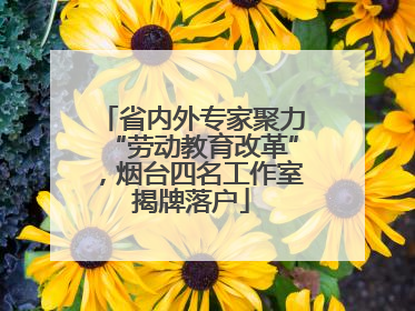 省内外专家聚力“劳动教育改革”，烟台四名工作室揭牌落户