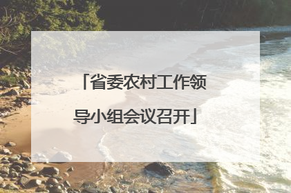 省委农村工作领导小组会议召开