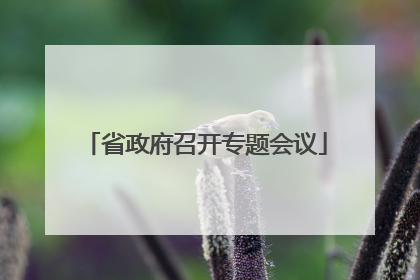 省政府召开专题会议