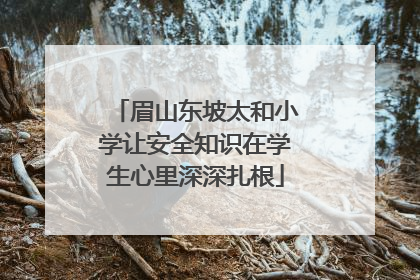 眉山东坡太和小学让安全知识在学生心里深深扎根