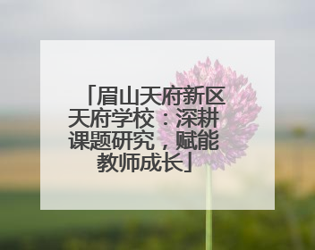 眉山天府新区天府学校：深耕课题研究，赋能教师成长