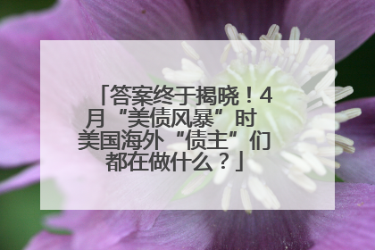 答案终于揭晓！4月“美债风暴”时 美国海外“债主”们都在做什么？