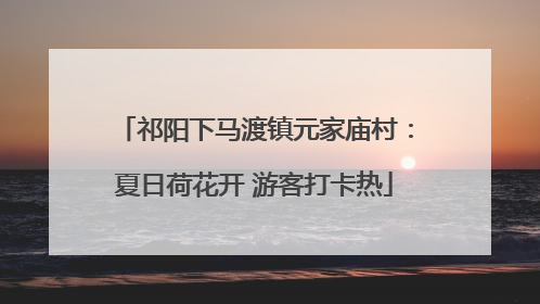祁阳下马渡镇元家庙村：夏日荷花开 游客打卡热