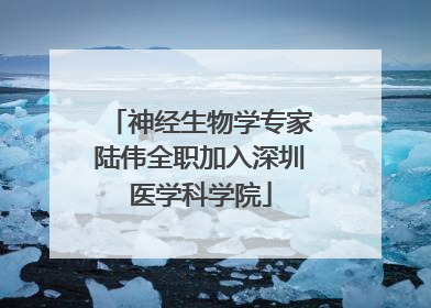 神经生物学专家陆伟全职加入深圳医学科学院