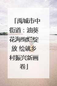 禹城市中街道：油葵花海绚烂绽放 绘就乡村振兴新画卷